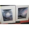 Image 1 : PAIR OF FOREST SCENE FRAMED PICTURES