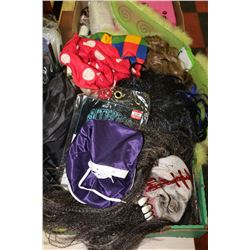 FLAT OF HALLOWEEN COSTUMES AND ACCESSORIES ON