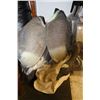Image 1 : SET OF 12 GOOSE DECOYS