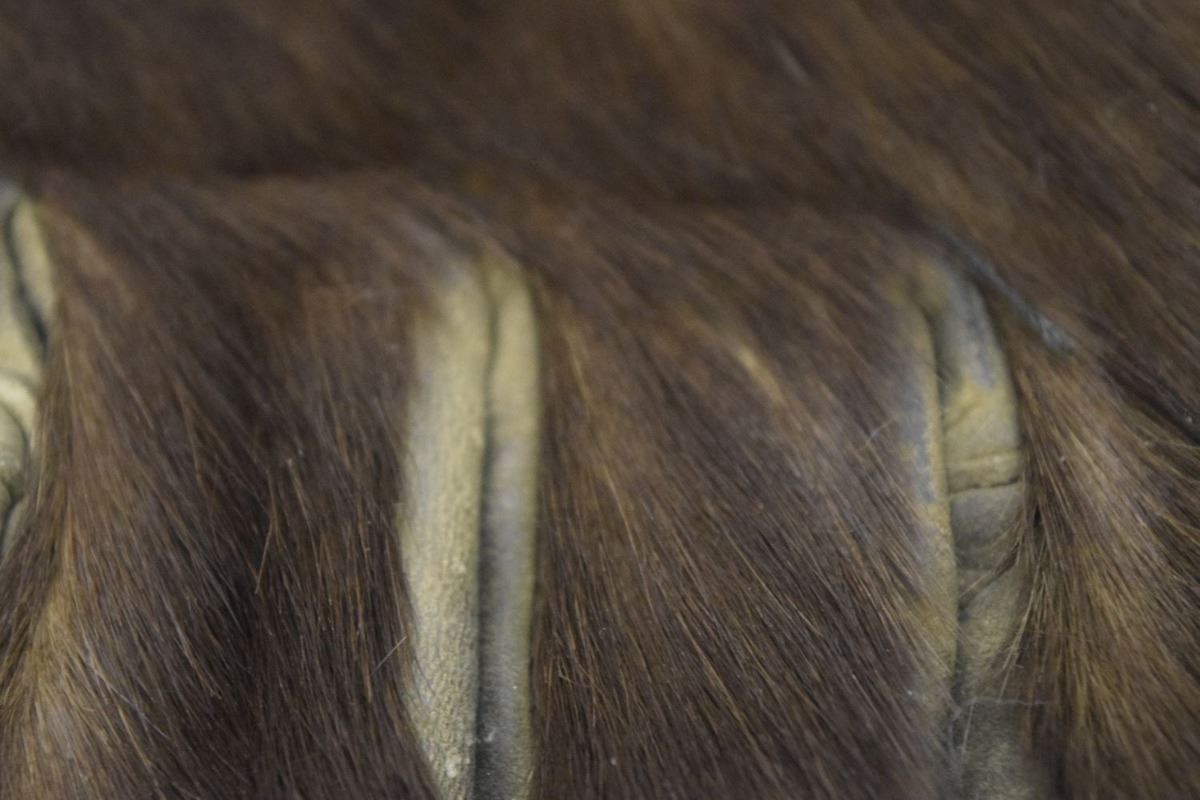 Download ANTIQUE HORSE HAIR GLOVES