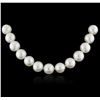 Image 2 : 14KT White Gold Pearl Necklace