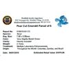 Image 2 : 3.72ctw Pear Mixed Emerald Parcel