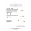 Image 4 : 0.46ctw Diamond Ring - 14KT Yellow Gold