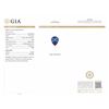 Image 7 : 14KT White Gold GIA Certified 16.01ct Tanzanite and Diamond Pendant With Chain
