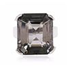 Image 1 : 14KT White Gold 25.26ct Tourmaline Ring
