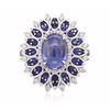 Image 1 : 18KT White Gold 13.89ctw Sapphire and Diamond Ring