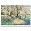 Image 1 : Park Path by Joseph Dawley