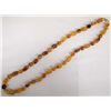Image 2 : Amber Bead Necklace