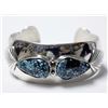 Image 1 : Navajo Sterling Turquoise Bracelet by Platero