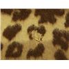 Image 2 : Two Alpaca Llama Wool Blankets