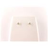 Image 1 : 171-25893:10K yellow gold diamond stud earrings