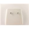 Image 1 : 171-25966:14K white gold diamond stud earrings