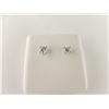 Image 1 : 172-15131:14K white gold diamond stud earrings
