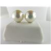 Image 1 : 532-10537:18K white gold south sea pearl