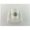 Image 1 : 107-10411:18K white gold diamond solitaire