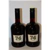Image 1 : 2 BOTTLES OF BRIGHT'S 74 TAWNY WINE
