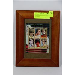 LADY DIANA FRAMED STAMP COLLECTION