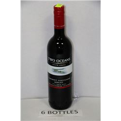 SIX 750ML BOTTLES OF TWO OCEANS CABERNET