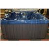 Image 2 : BLUE HOT TUB 84" W/ COVER