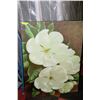 Image 1 : FLOWER PRINT ON CANVAS