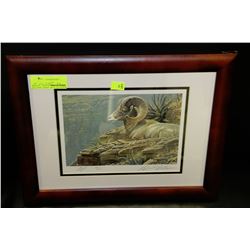 ROBERT BATEMAN LTD ED SIGNED BIG HORN SHEEP PRINT