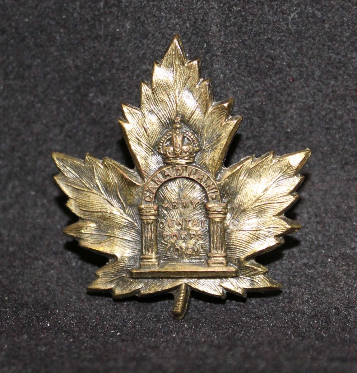 C16. Canadian Army Dental Corps Cap badge