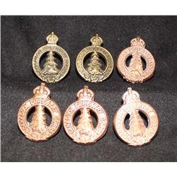 D63. Canadian Forestry Corps Collar badge lot