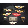 Image 1 : D74. Canadian Airborne Jump Wings/qualification patch lot