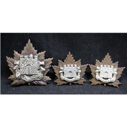 D111. Fort Garry Horse Cap/Collar badge set