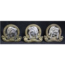 D134. Manitoba Mounted Rifles Collar Lot