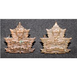 D137. British Columbia Mounted Rifles Collar badge pair