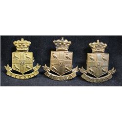 D152. 11th HUSSARS collar badge lot