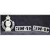 Image 1 : D193. Royal Canadian Armoured Corps Cap/Shoulder Title badge lot