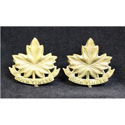 D238 Le Regiment De Joliette Collar badge pair
