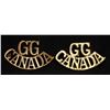Image 1 : D292. Grenadier Guards of Canada Shoulder title lot