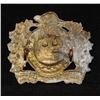 Image 2 : D298. Lake Superior Regiment Cap Badge