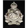 Image 2 : D300. Algonquin Regiment Cap Badge