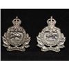 Image 1 : D301. Algonquin Regiment Collar badge pair