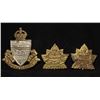 Image 1 : D302. South Alberta Regiment Cap/Collar badge lot