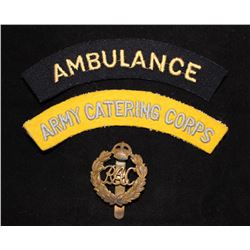 F13. British Cap Badge/Shoulder flash lot