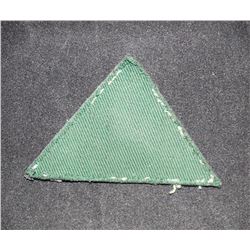 H136. WW2 Canadian Forestry Corps Divisional Flash, CANVAS