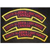 Image 1 : H198. South Alberta Light Horse Shoulder flash lot