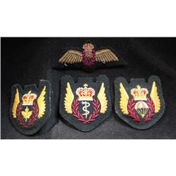 J11. Canadian Air Branch Wing/Flashes