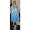 Image 1 : Disney Elsa Frozen Costume
