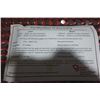 Image 2 : Vermont Gage, Gage Pins- 101100500, .2510" - .5000"+