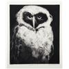 Image 1 : Sylvia Roth, Spectacled Owl, Etching