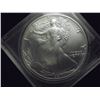 Image 1 : 1991 AMERICAN SILVER EAGLE UNC