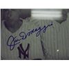 Image 2 : 8X12 SIGNED PHOTO MANTLE, DIMAGGIO & MARTIN CFA CERTIFIED
