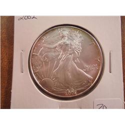 2002 AMERICAN SILVER EAGLE UNC