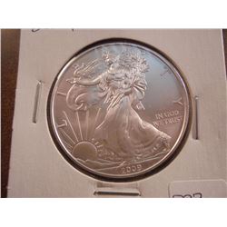 2009 AMERICAN SILVER EAGLE UNC TONED ON REV.